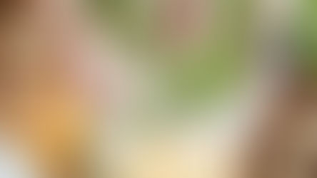 From Takeout to Table: A Delicious Transition