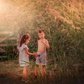 Find beauty around you! 