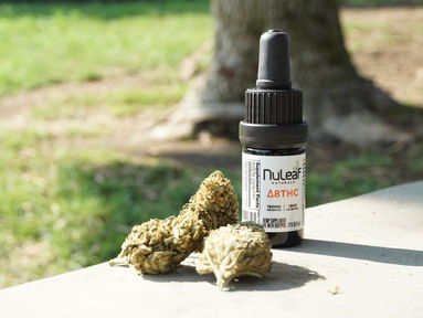 "Le Cannabis est un médicament."