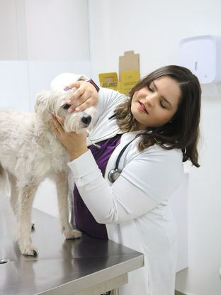 médica veterinária