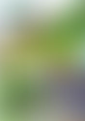 2nd International Conference on Sustainable Tourism (Digital), 21st -22nd August, 2020