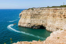 Ocean Conference:Save the Ocean, Protect the Future