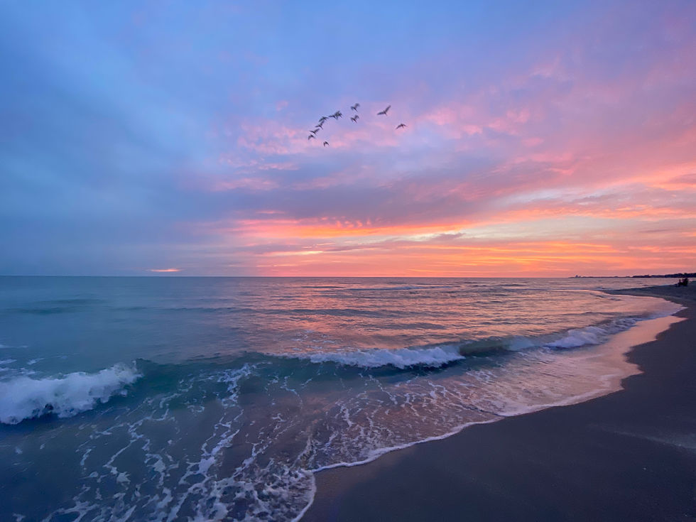 Discover Authentic Living with Sarasota's Wellness Trailblazers