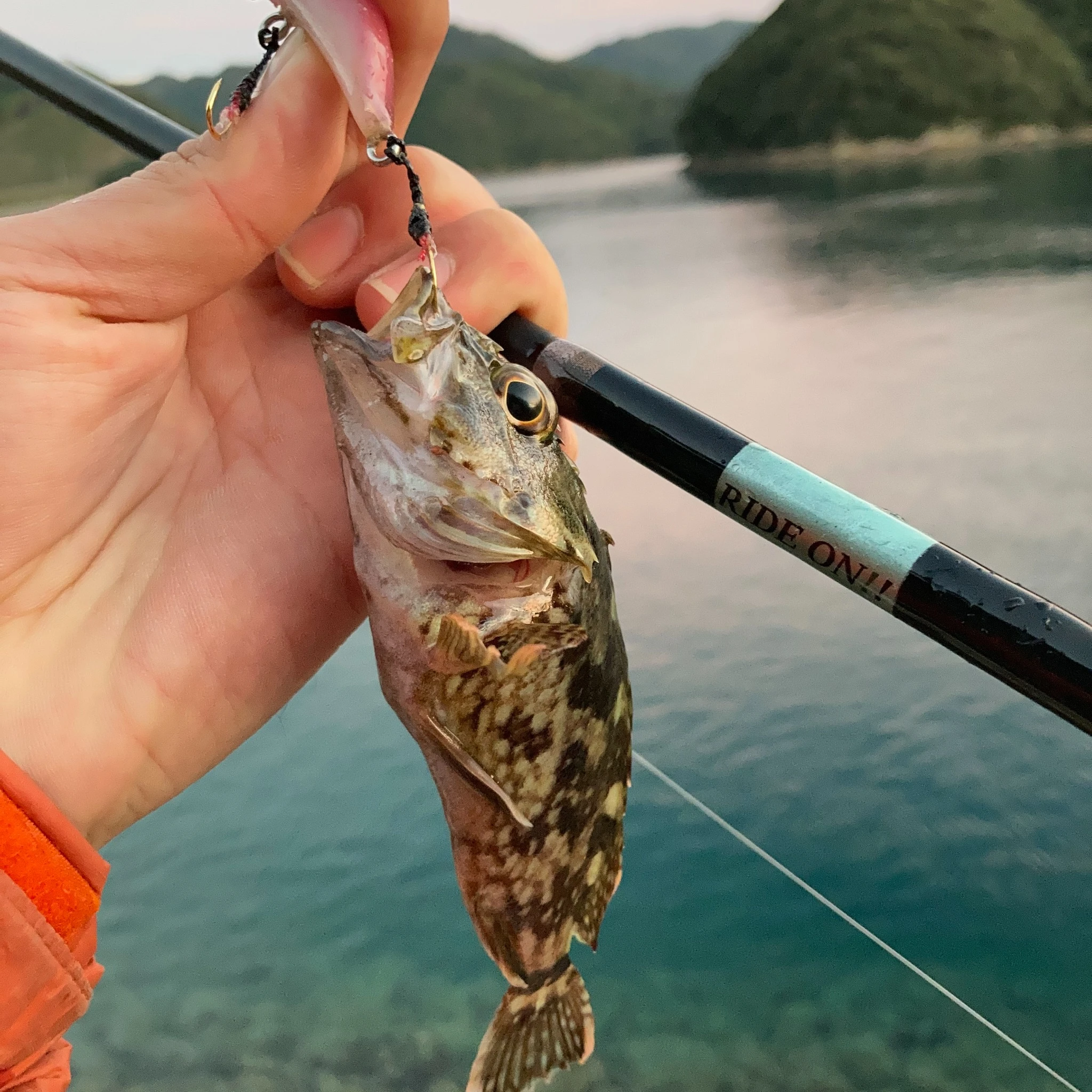 ３Dプリンタで魚釣り