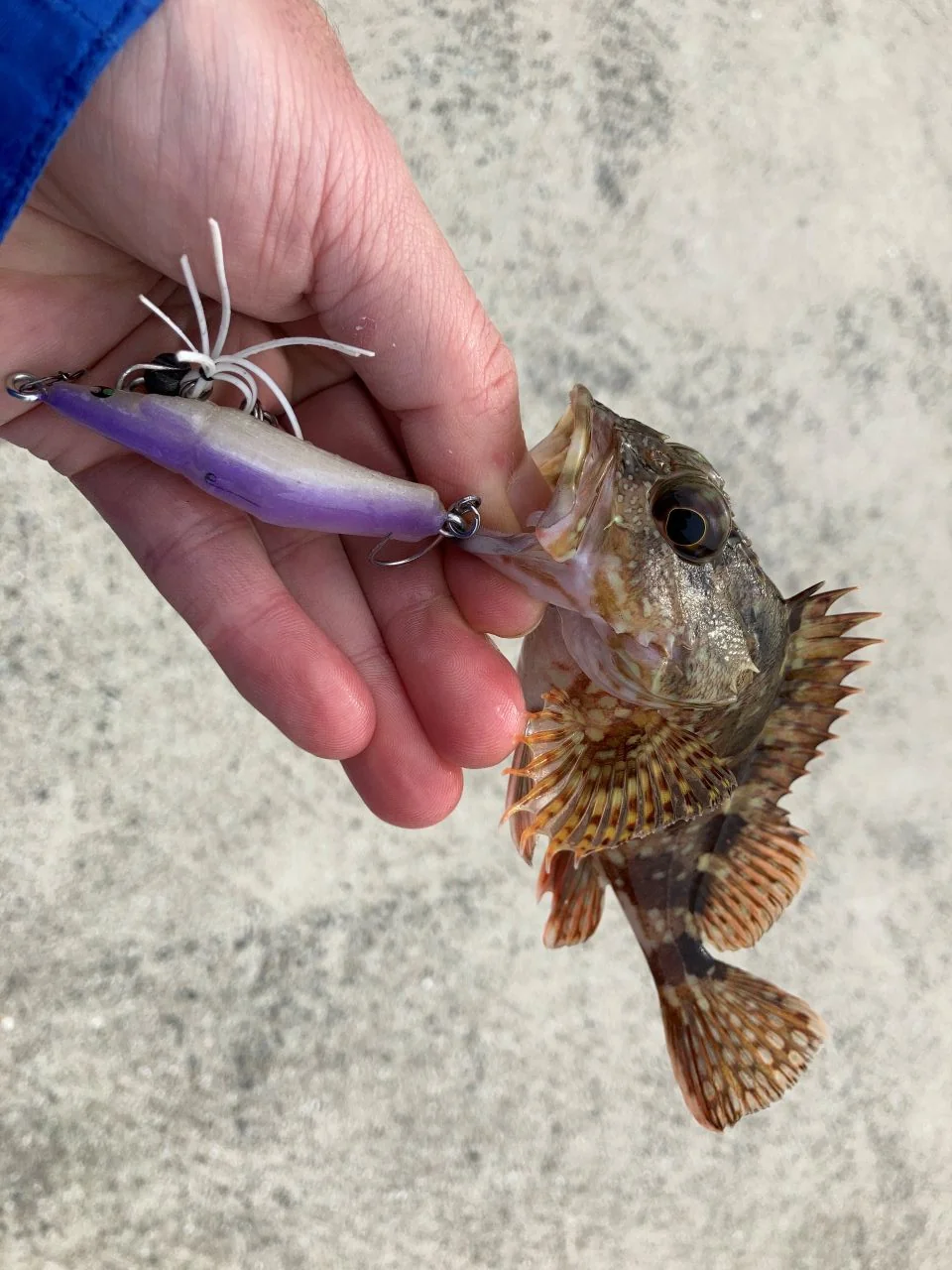 APPのルアーをカスタムして魚釣り