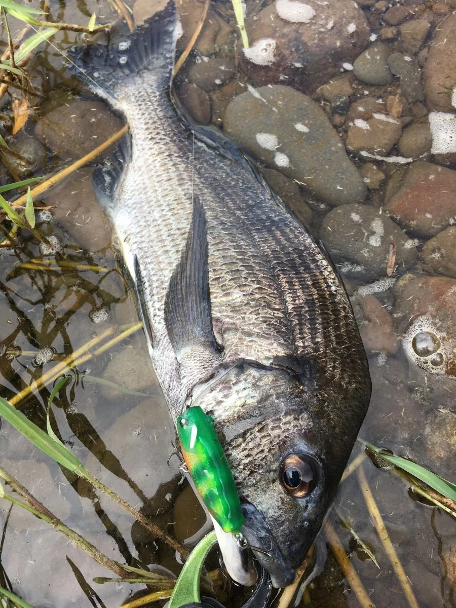 チニングで自作ルアーを使っている画像