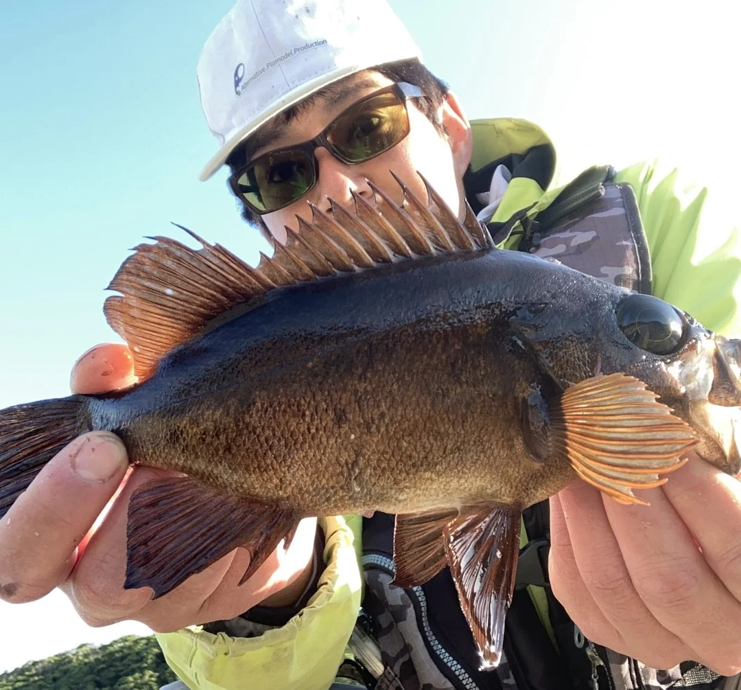 山下勇磨とメバル