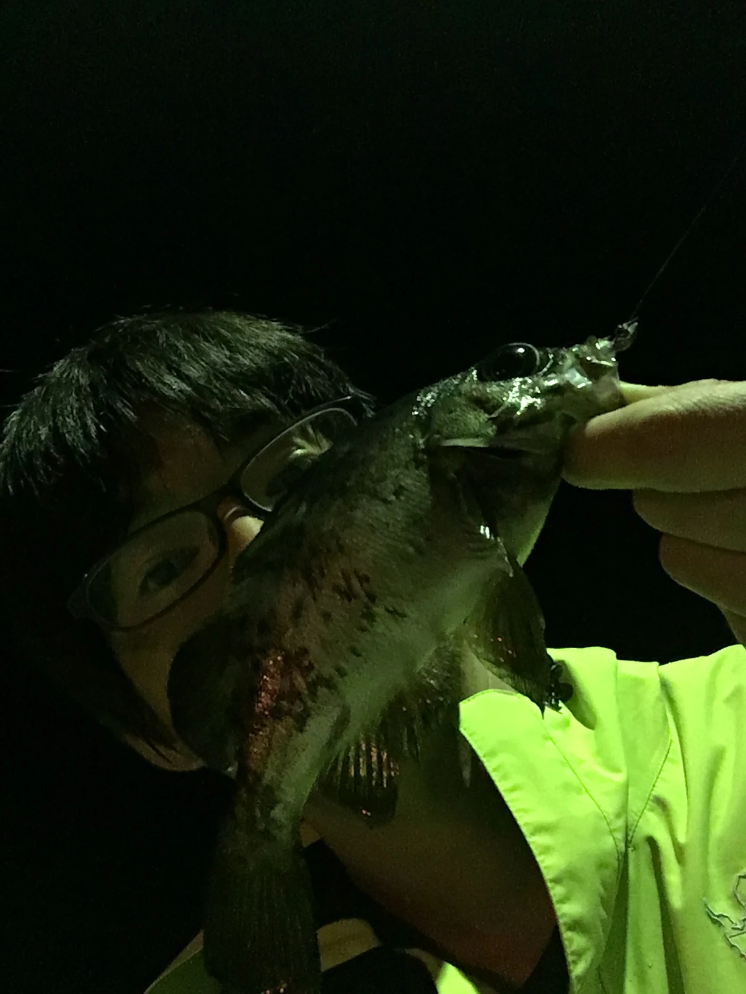 ライトワームで釣れたメバル