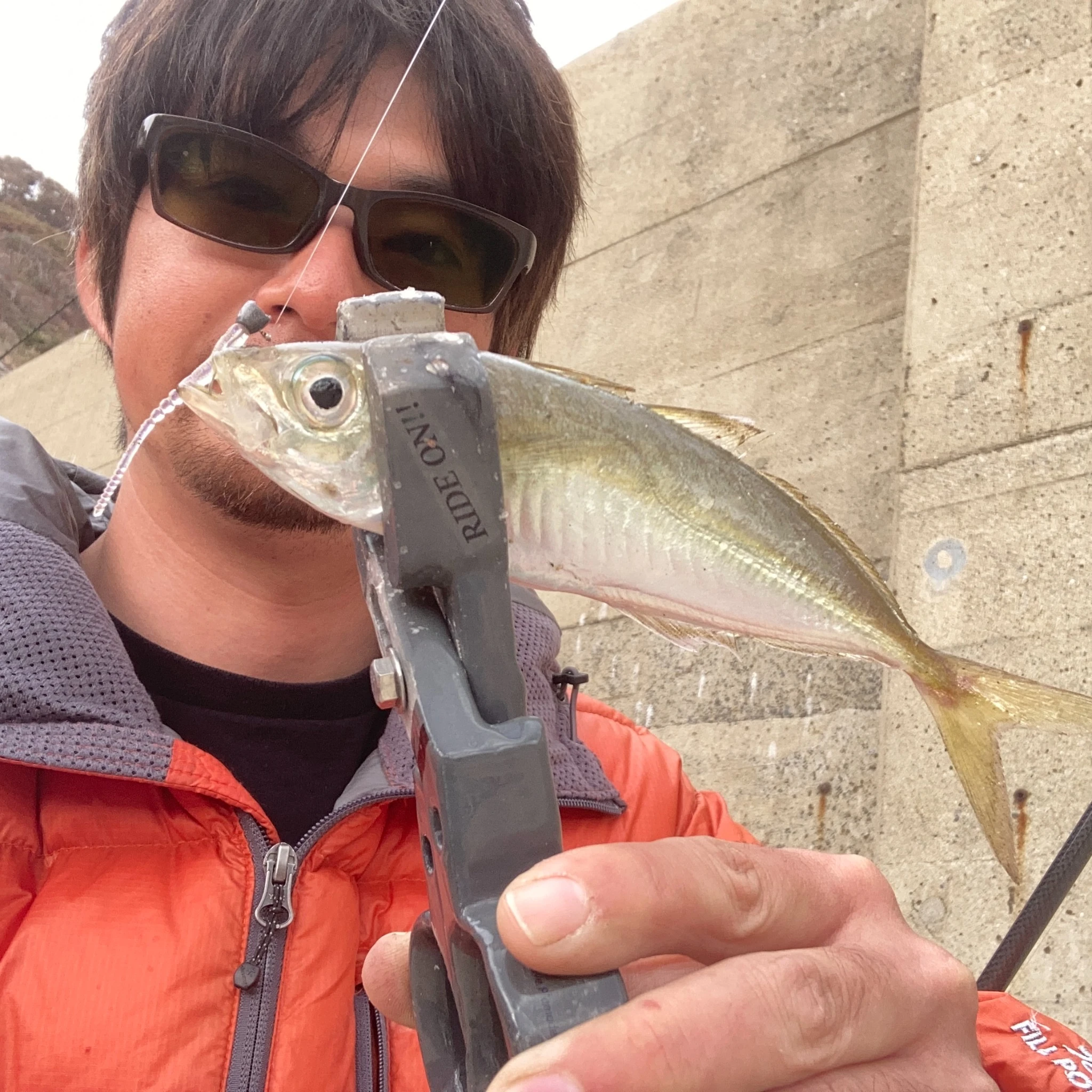 APヤマシタとデイアジング