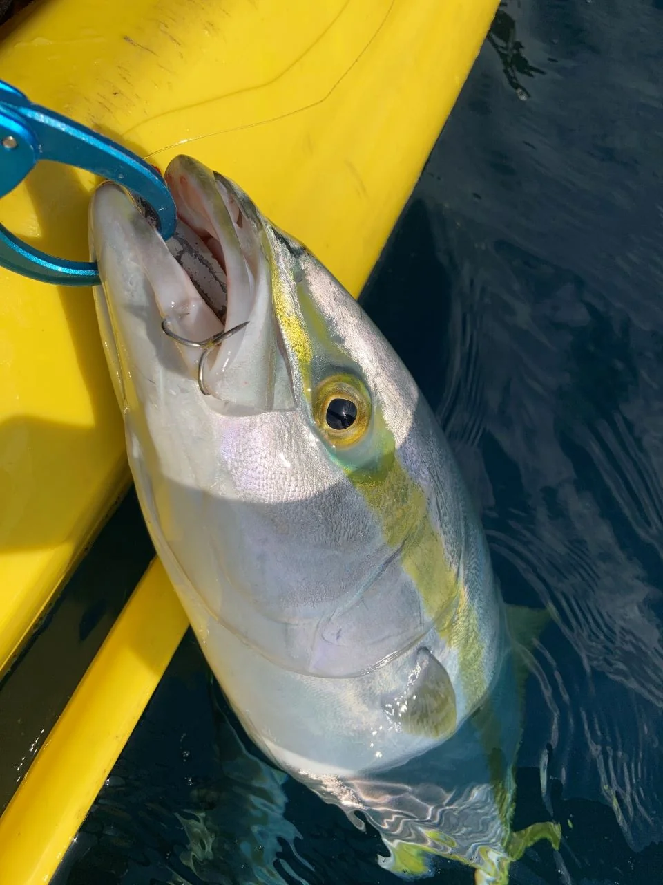 ブレードジグ(LBS)が効果的な釣果をもたらした瞬間