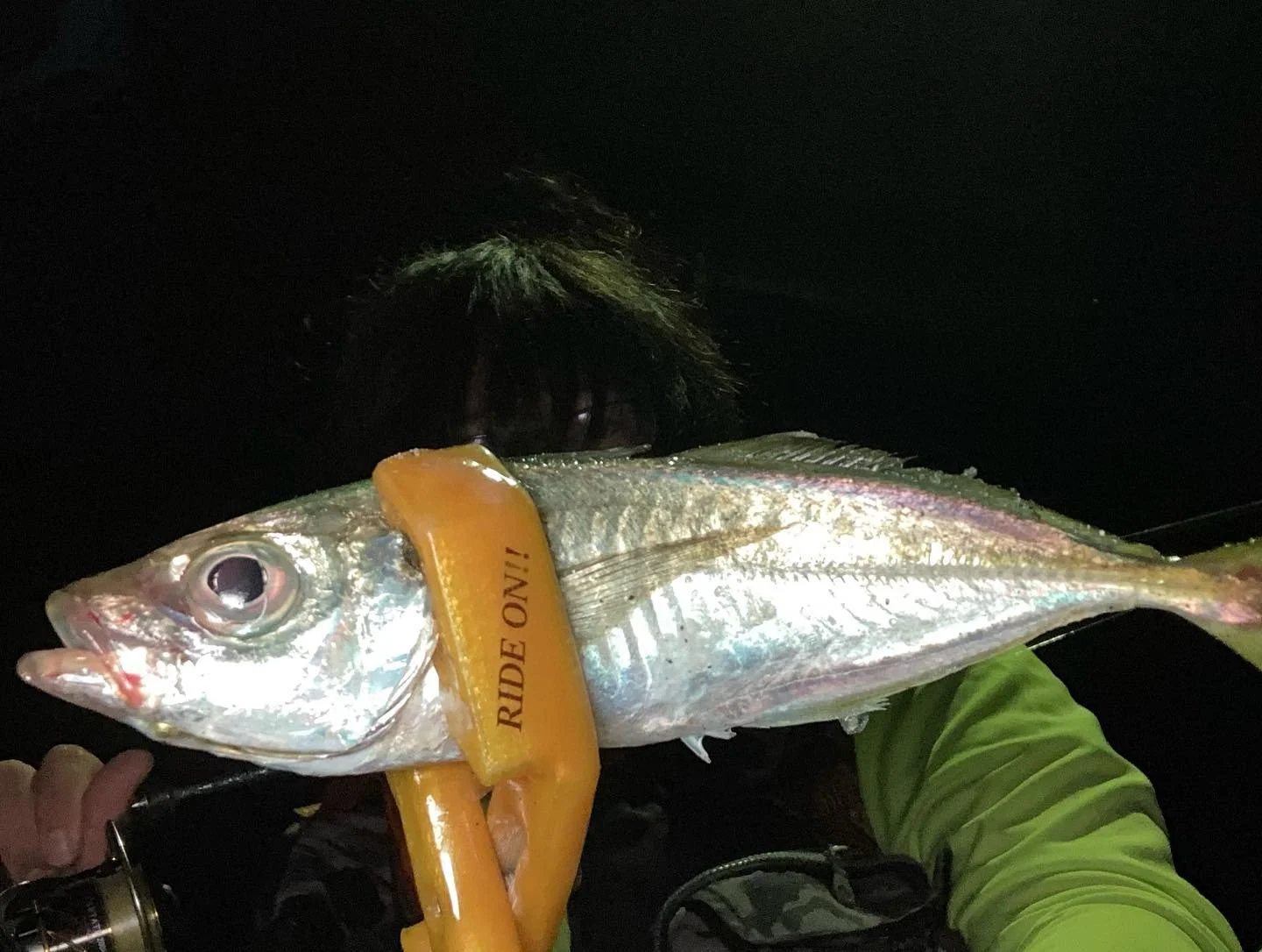 鯵を掴んでいるRIDEONグリップ