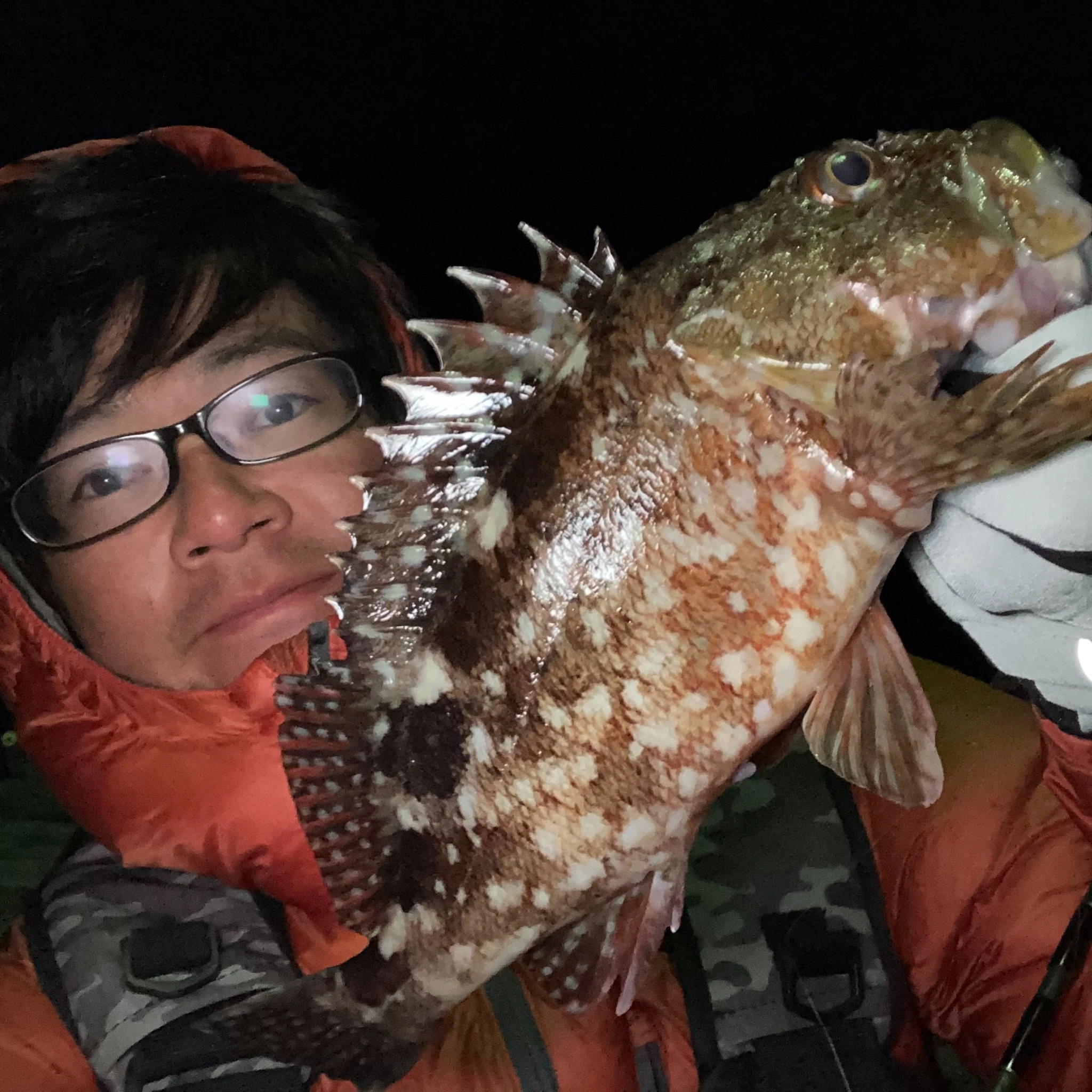 ヤマシタユウマとアラカブ