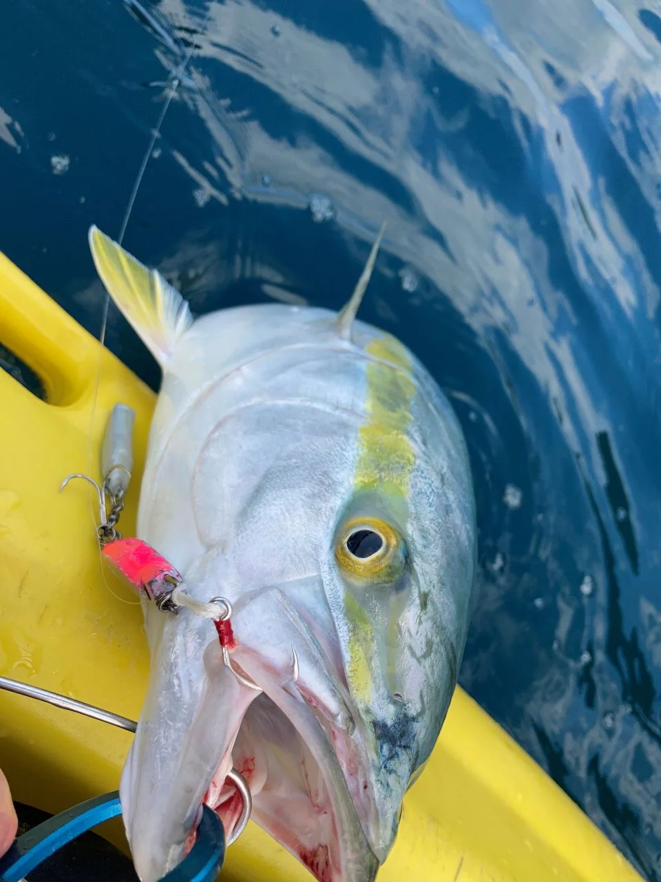 LBBLADE50プロトタイプでヒットした魚