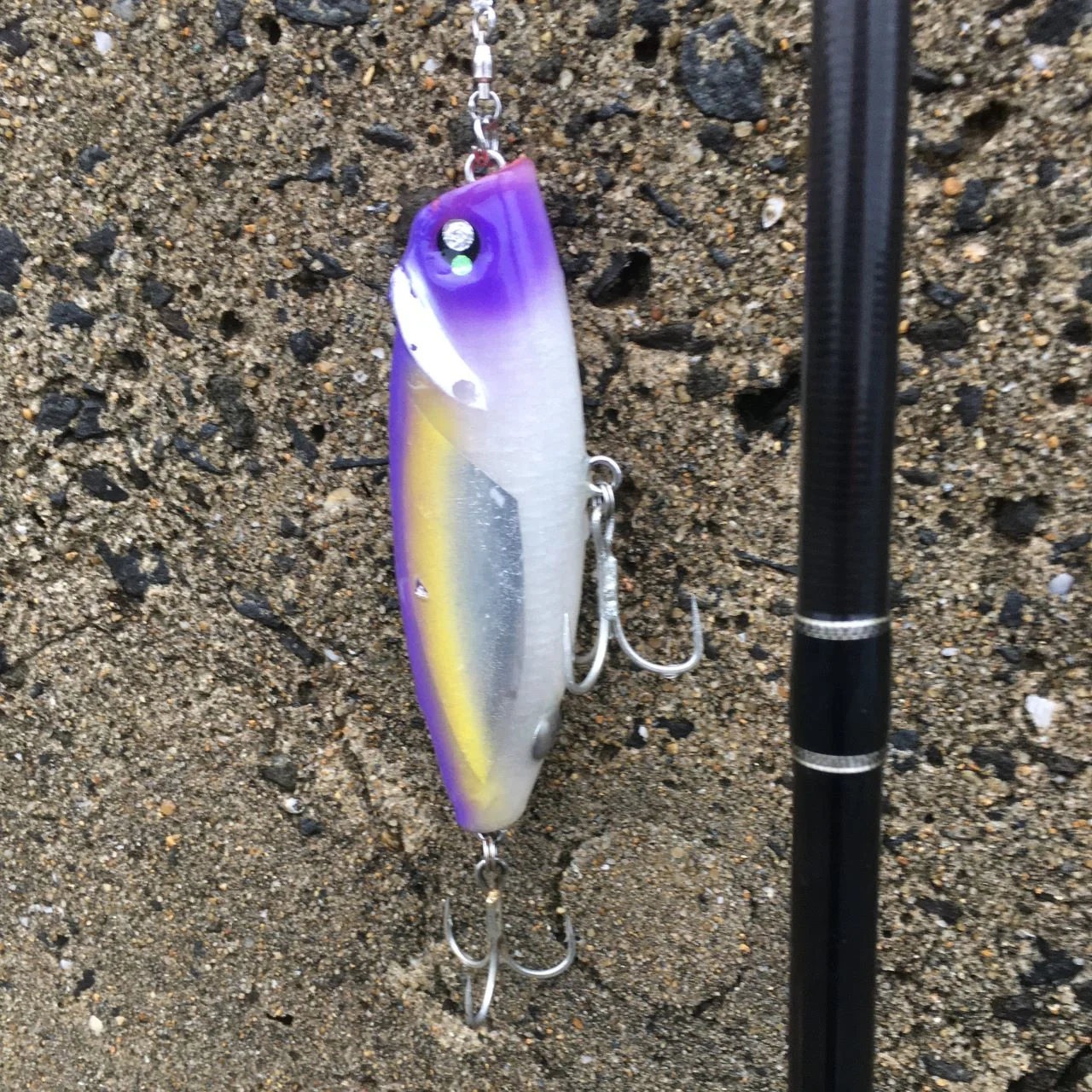 HAPPYRIDE120Fとロッド