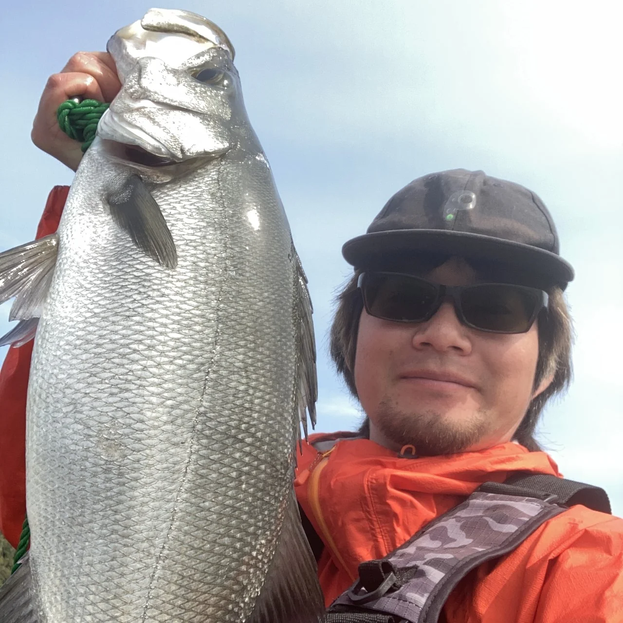 シーバスとヤマシタユウマ