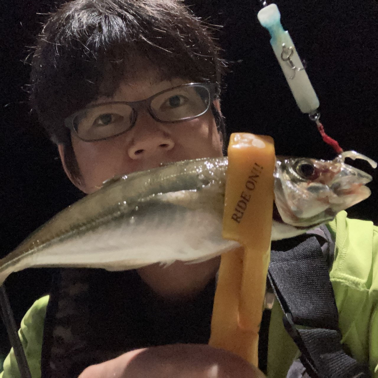 Fishing for horse mackerel with Mustang Plug