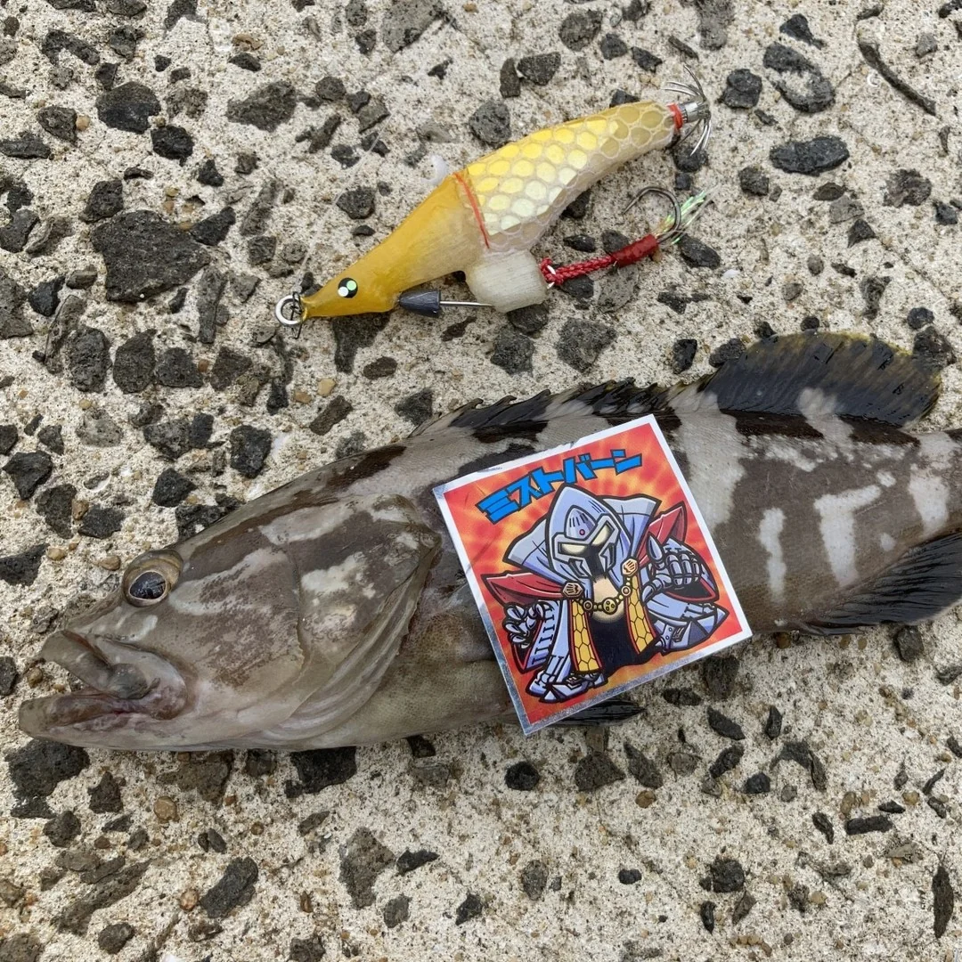 ブレイドロール90でクエを釣る