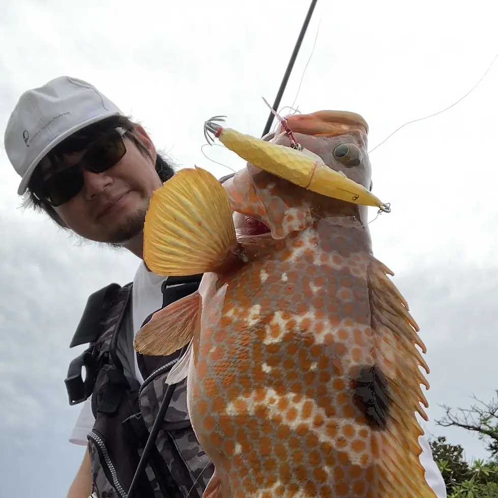 ブレイドロール90のデストロイモードで釣れた魚