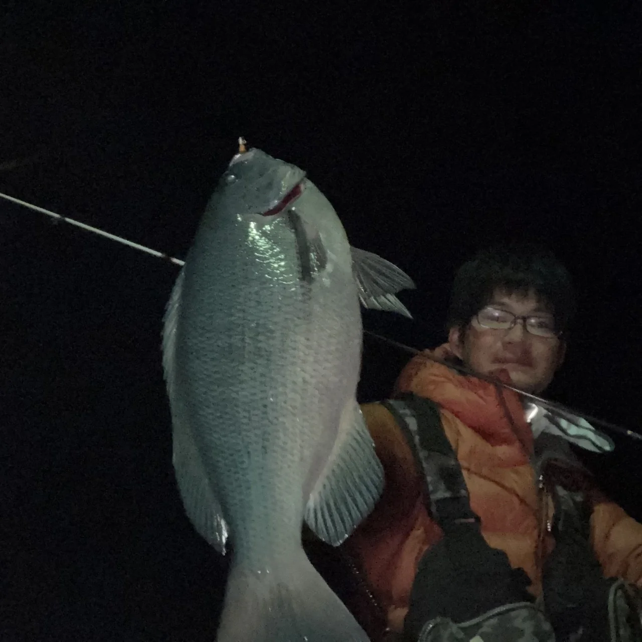 良型グレをワームで釣る