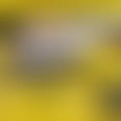 ブレードジギングでの釣果