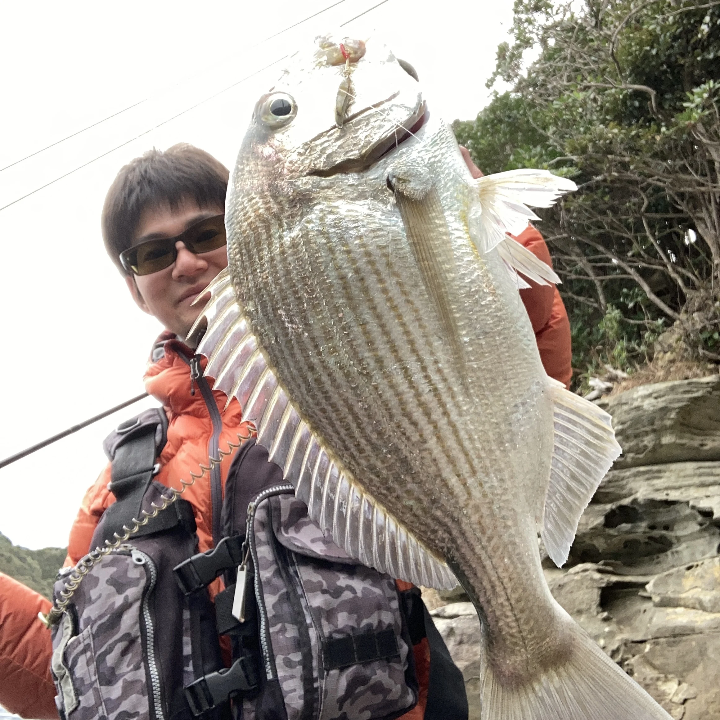 メタルトス9gを使っているとヘダイが釣れた