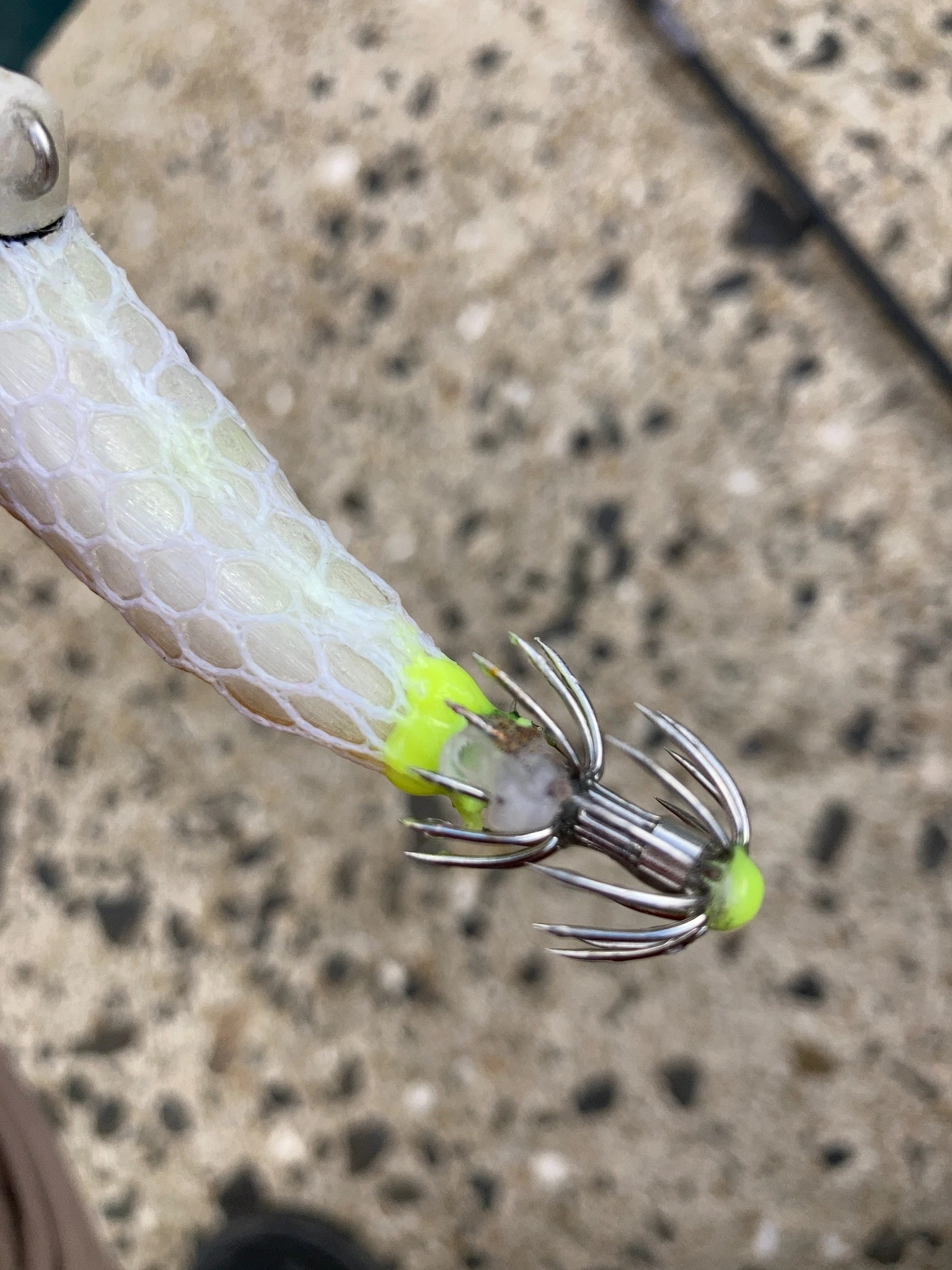 ブレイドロール９０にヒットしたイカのゲゾ