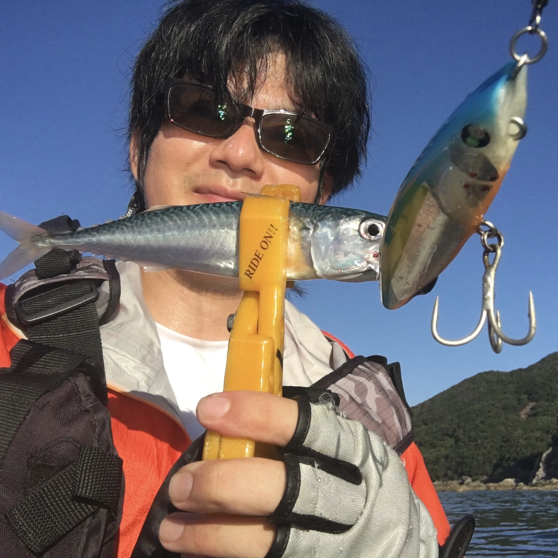 SLIDEWWIPER120Fでつれたサバの画像