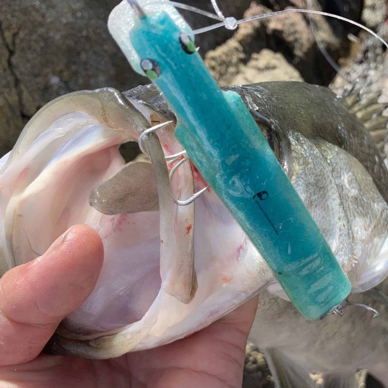 ３ｄプリンタルアー（MUSTANPLUG100S）で釣れたシーバス