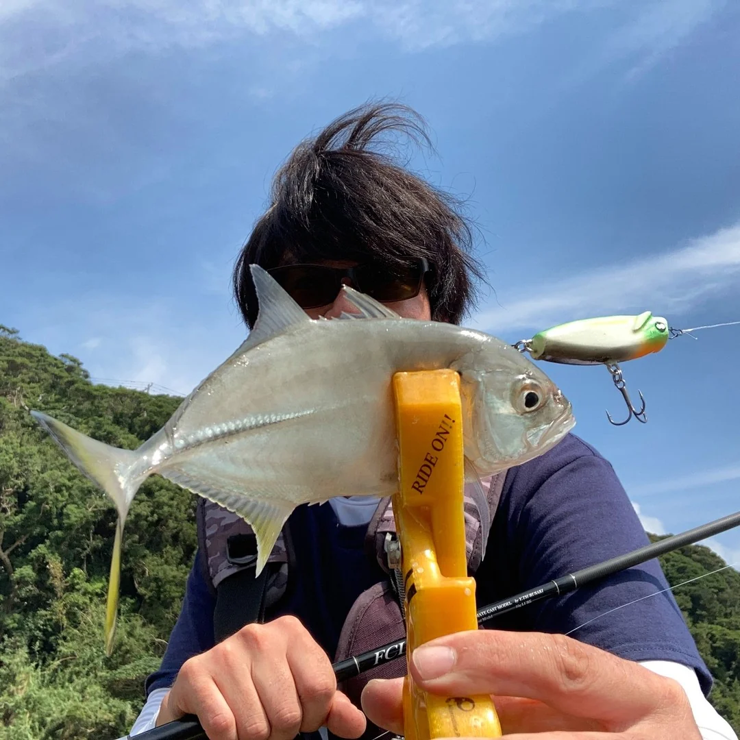 ハッピーライド55Fで釣れた浪人鯵