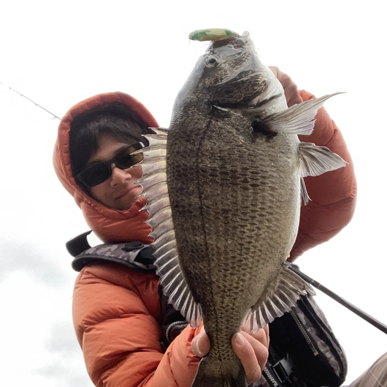 チヌトップで釣れたチヌと山下勇磨
