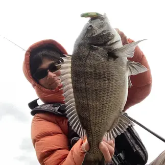 チヌトップで釣れたチヌと山下勇磨