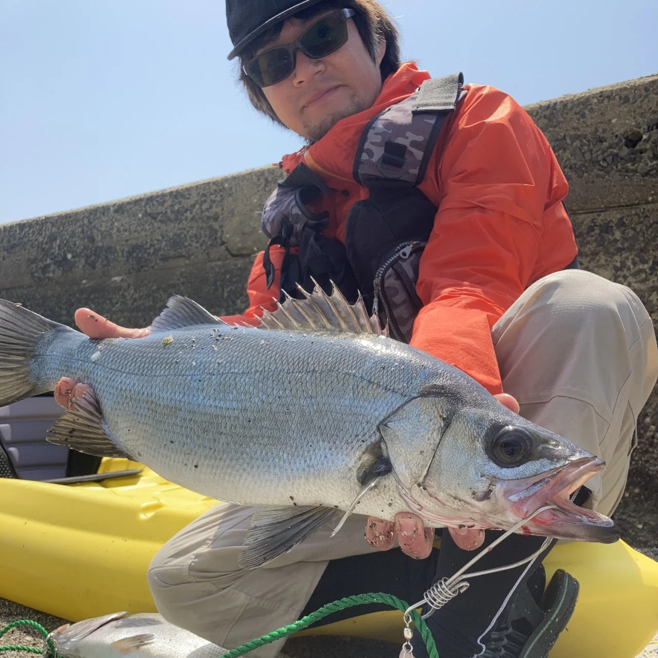 カヤックヒラスズキ