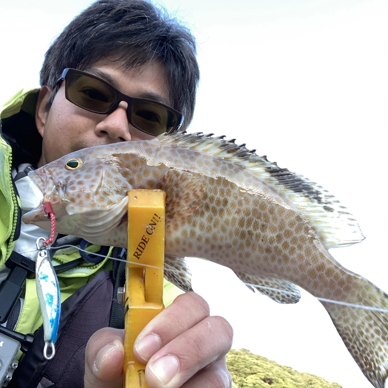 ロックフィッシュがロックフィッシュにヒット