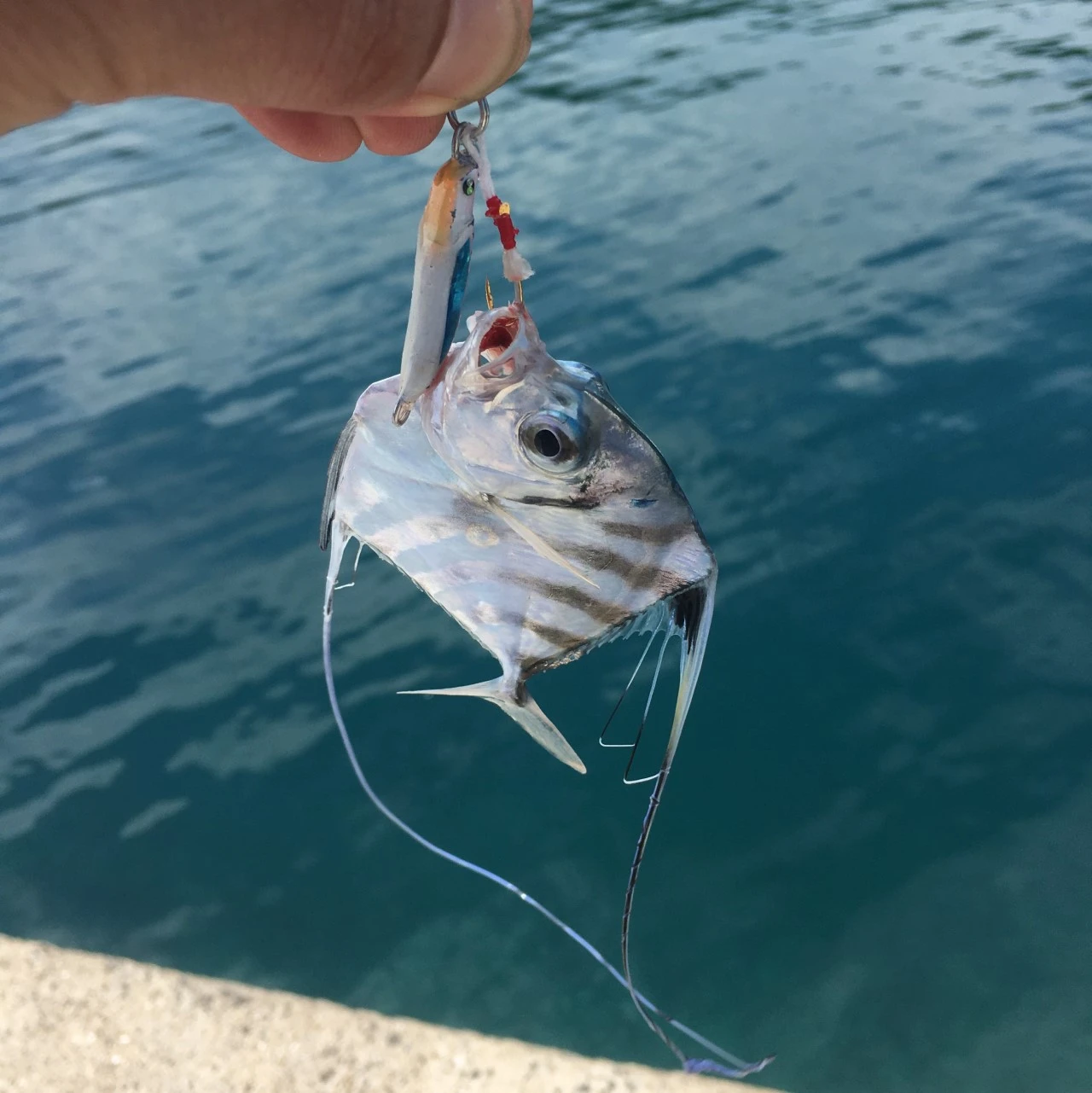 メタルジグでイトヒキアジ