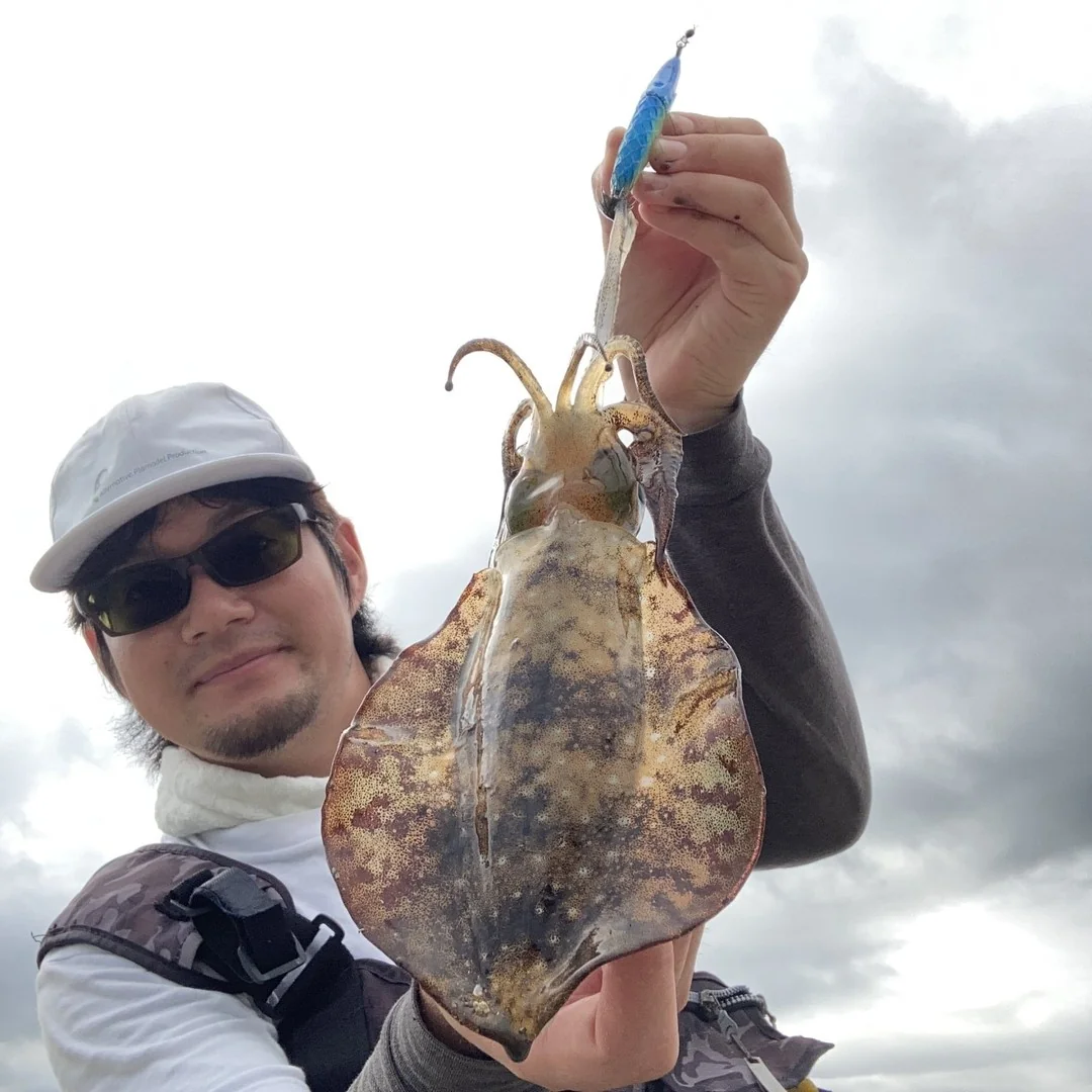 山下勇磨とアオリイカ