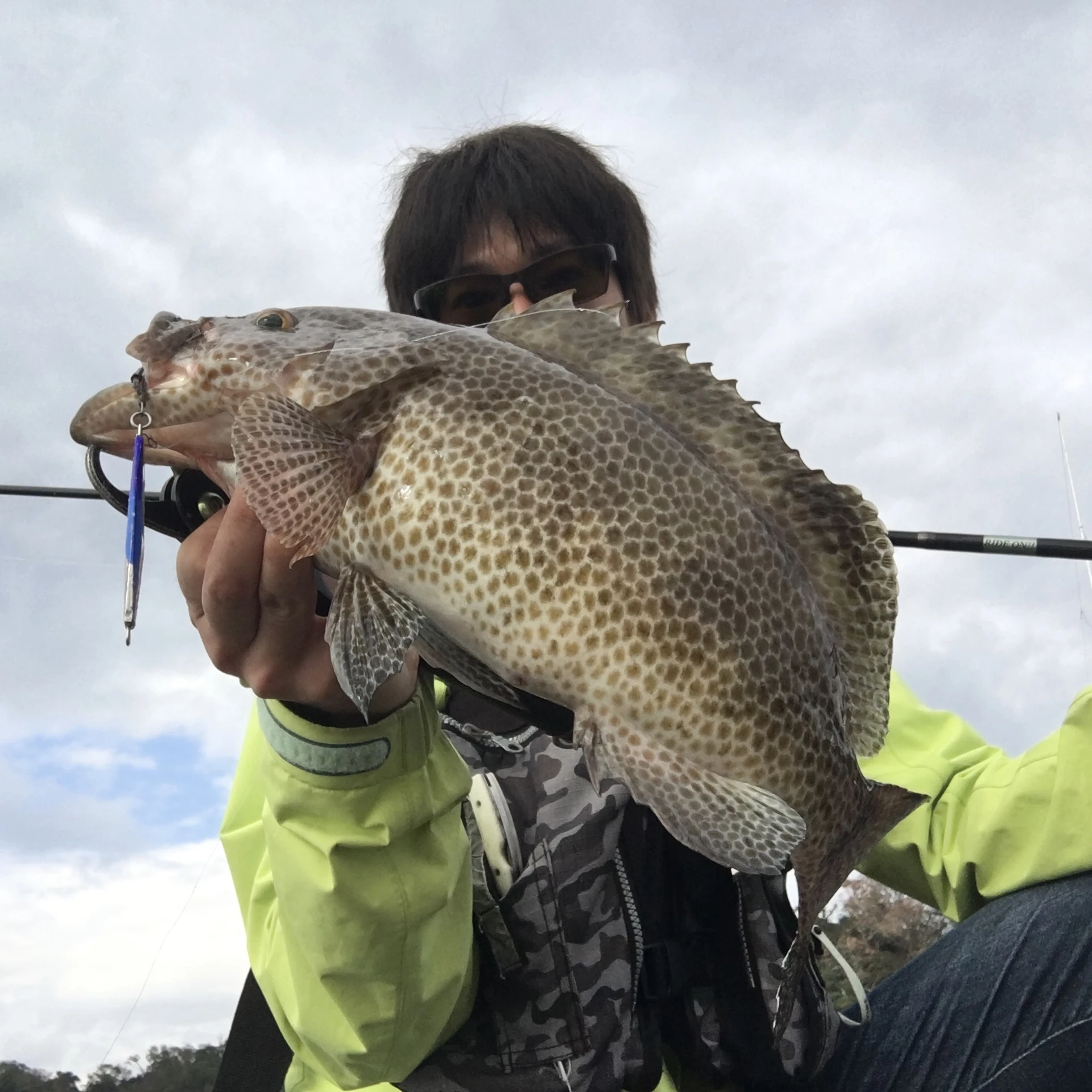 ショアジギングでオオモンハタ