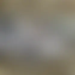 チヌトップで釣れたチヌの計測