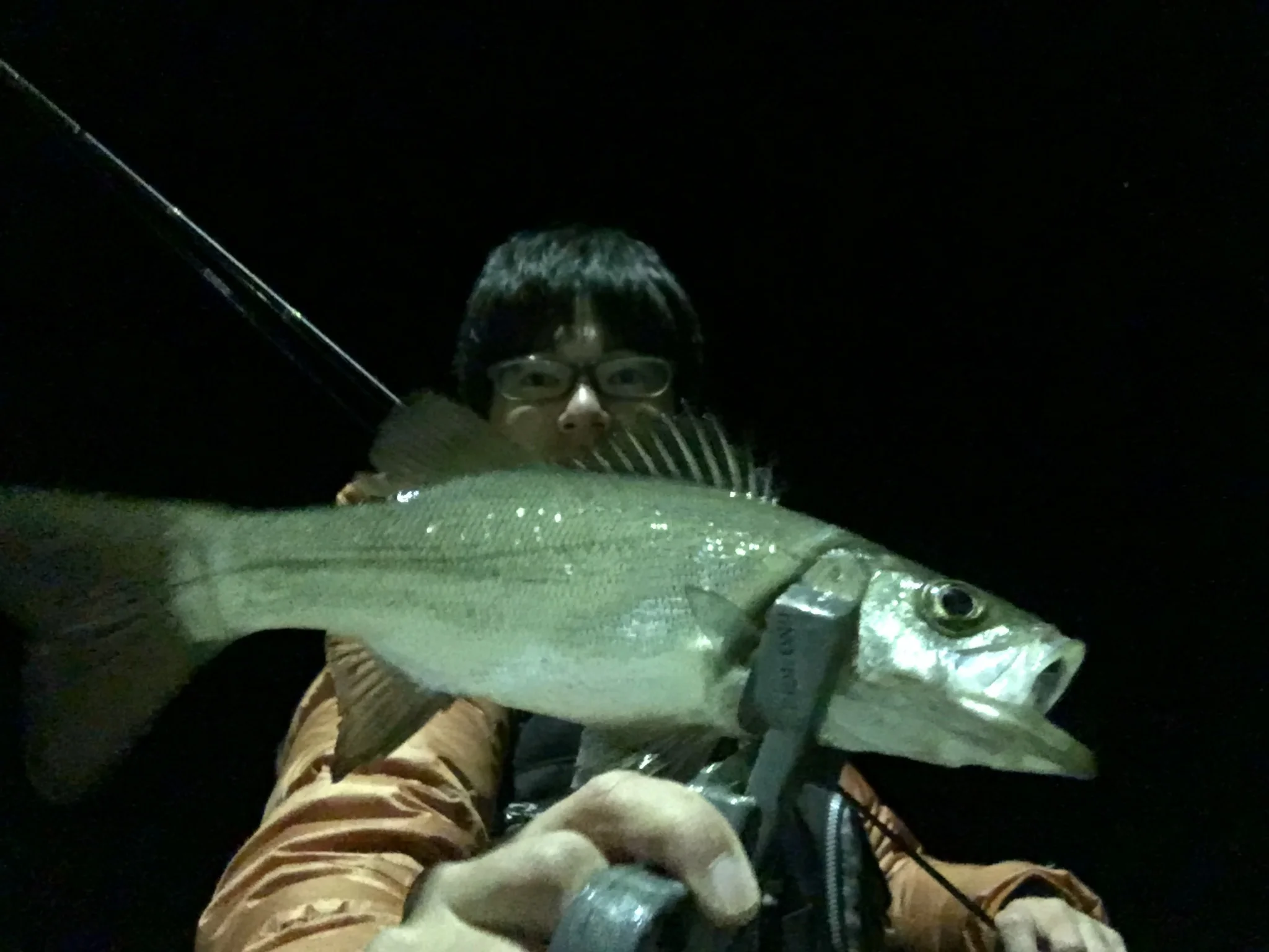 ライトタックルでシーバスの釣果画像