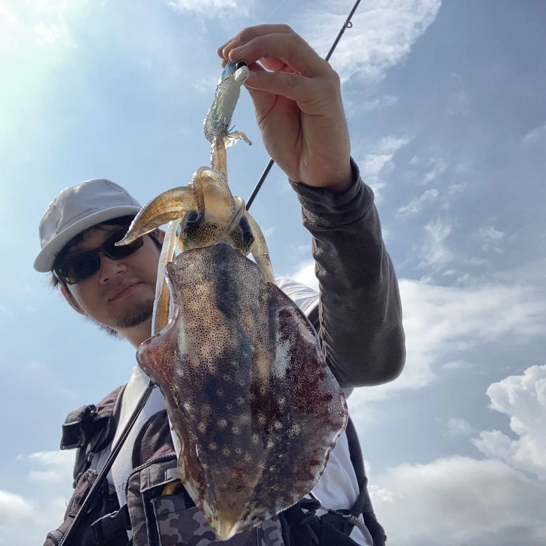 自作エギで釣れたイカ