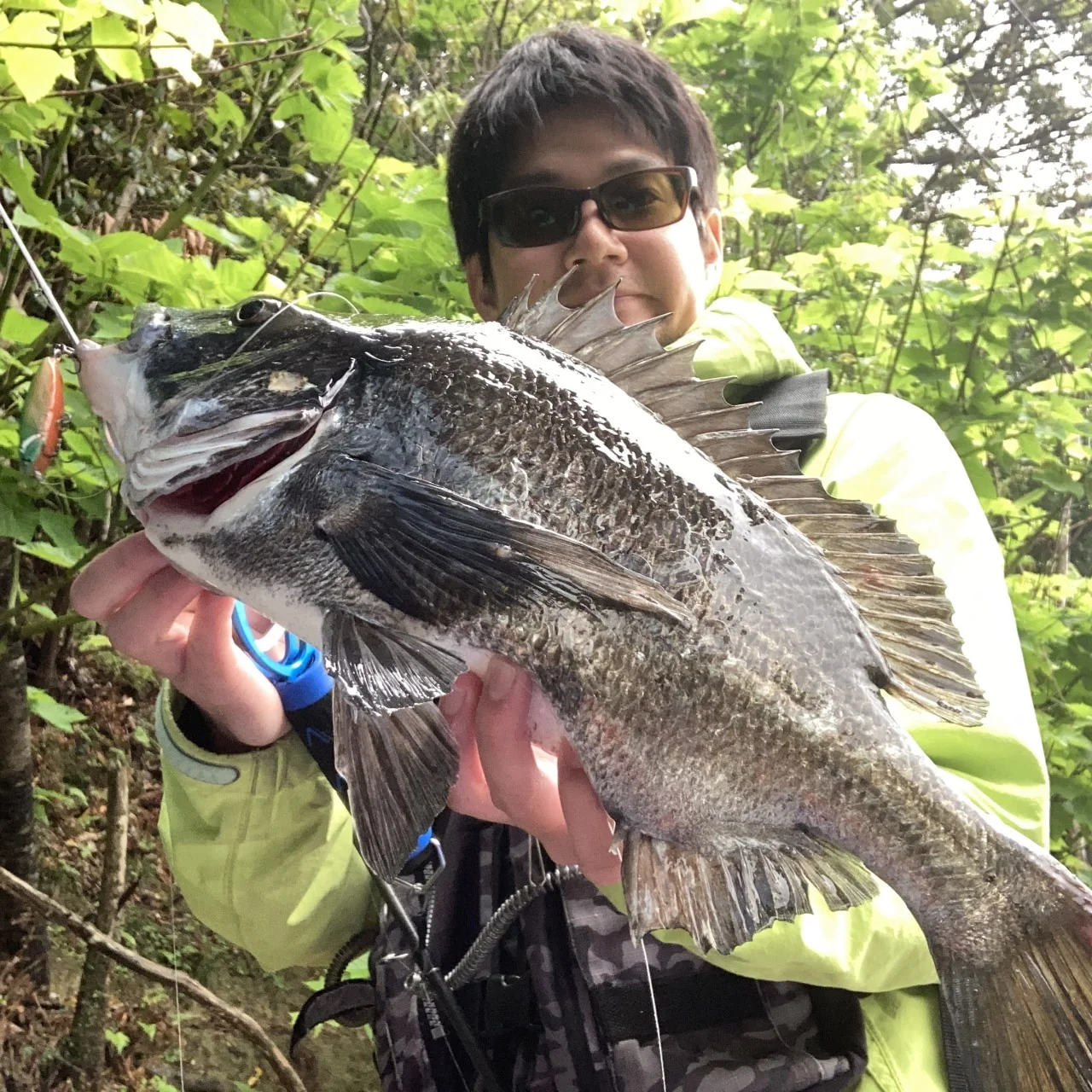 3dプリント製ルアー（SLIDEWIPER55S）で釣れた魚（クロダイ）