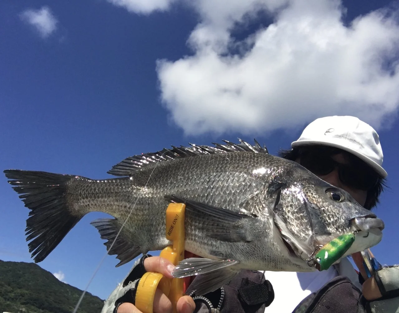 ハッピーライド55Fとチヌの画像