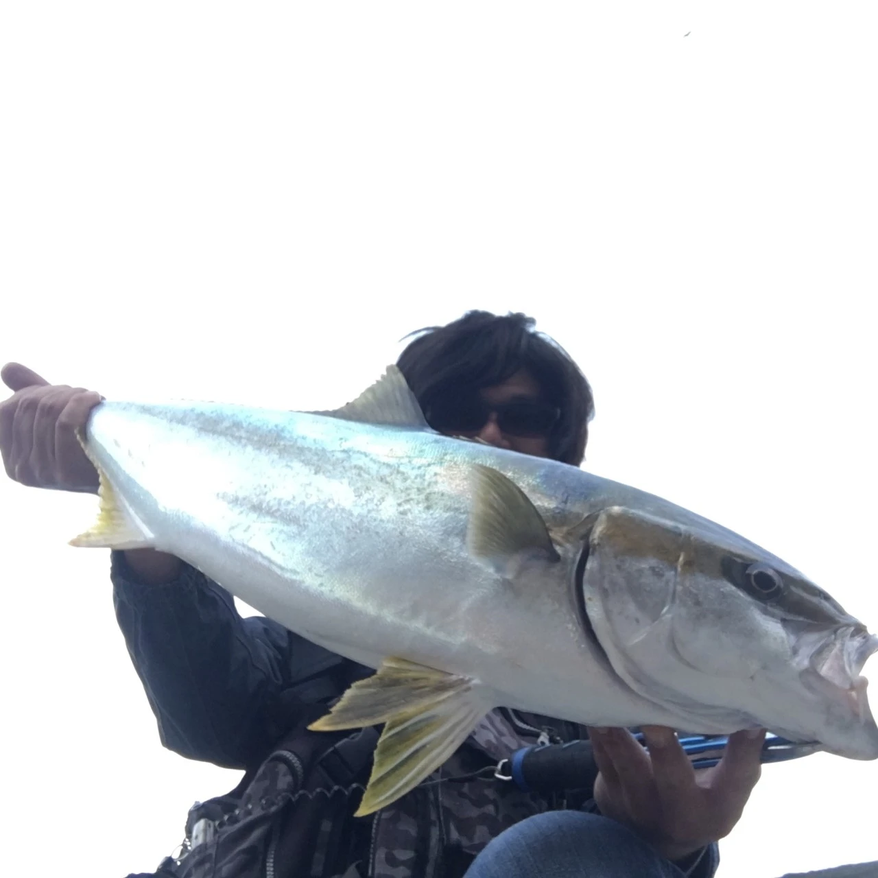 APヤマシタとヒラマサ