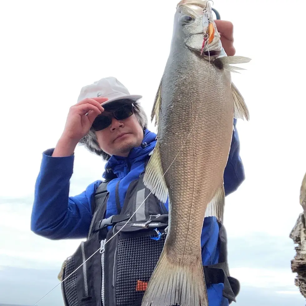 磯ヒラスズキと山下勇磨