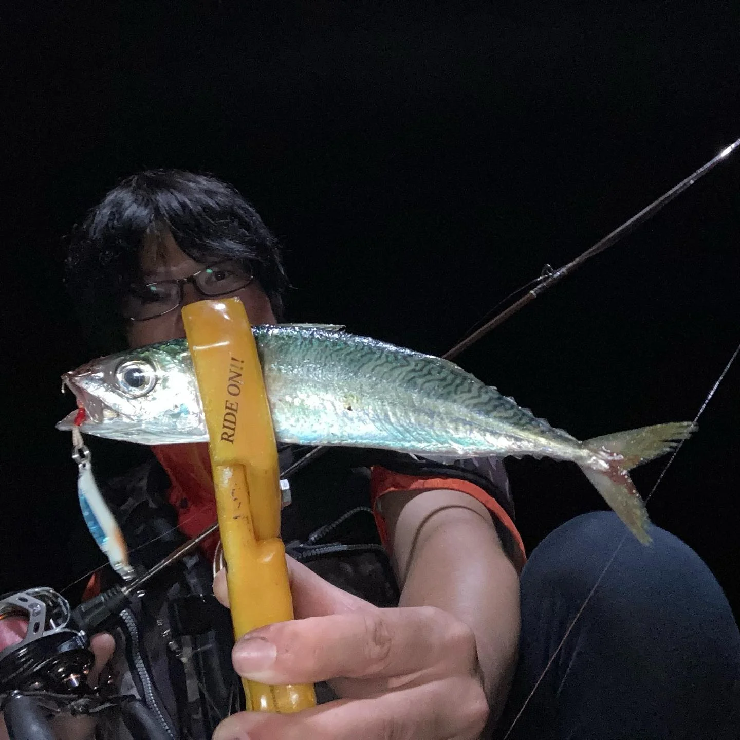 ライトゲームフィッシングで釣れた鯖