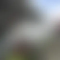 磯ヒラスズキと山下勇磨