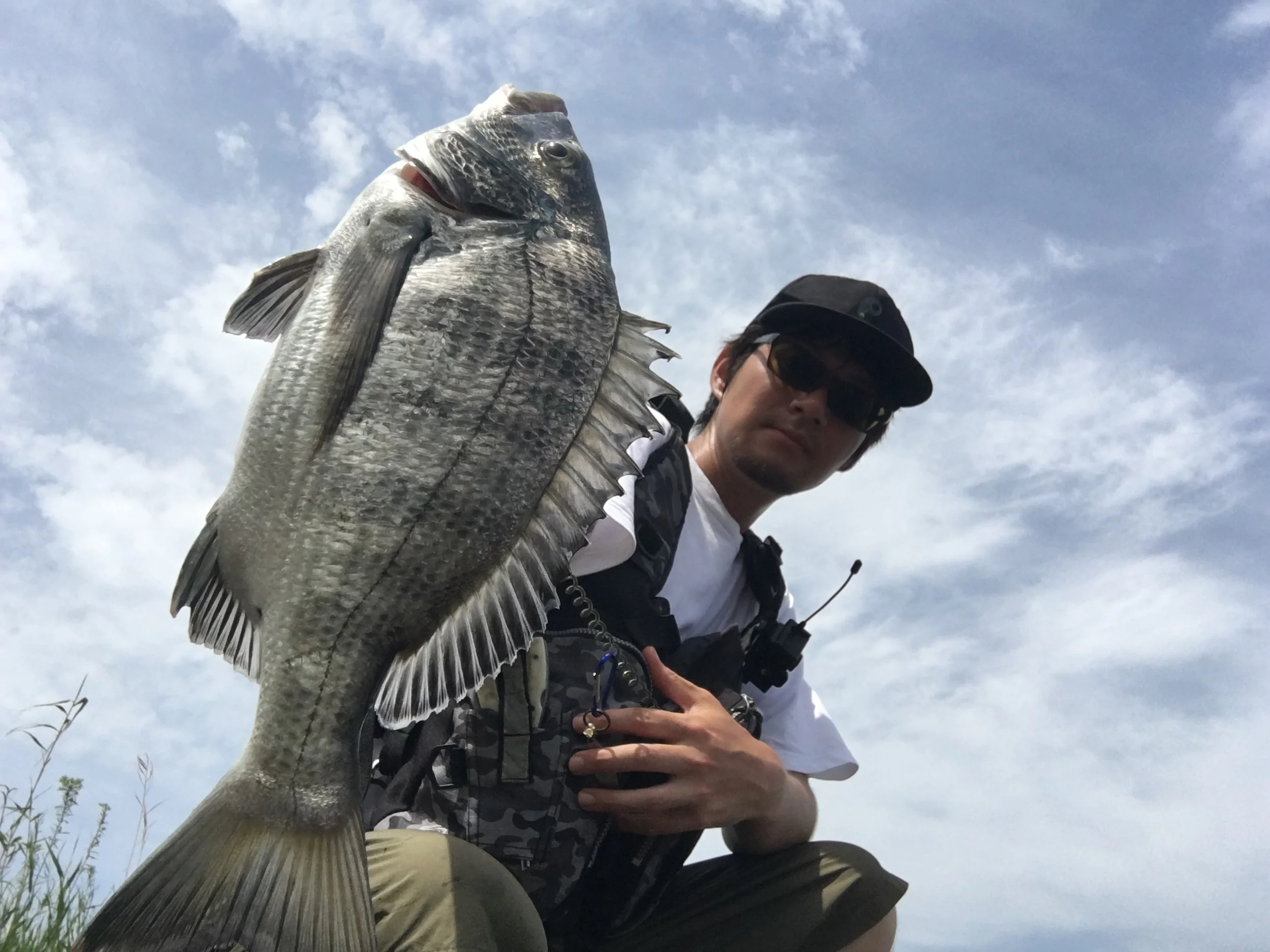 自作ルアーで釣れたチヌ