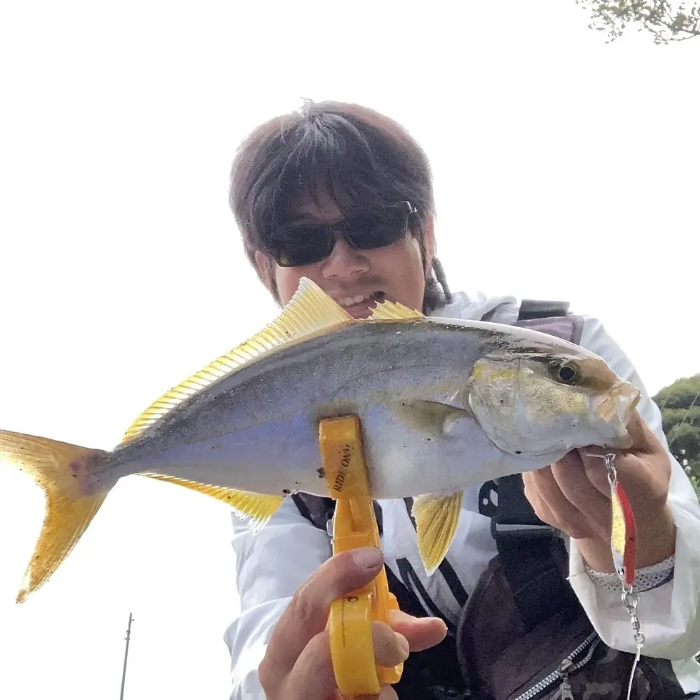 メタルトス26gで釣れる青物