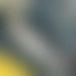 メタルジグで釣れたイサキ