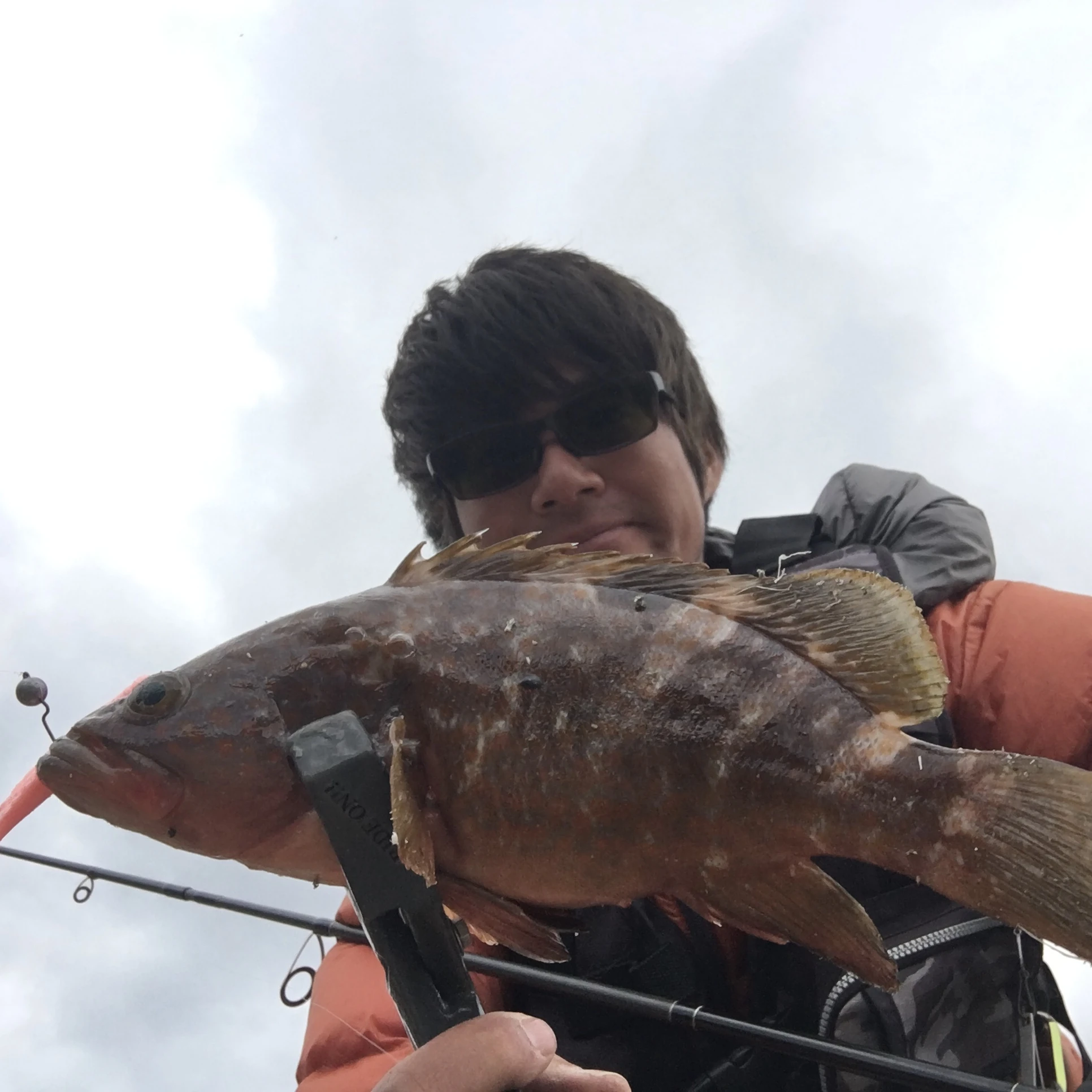 アコウとAPヤマシタ