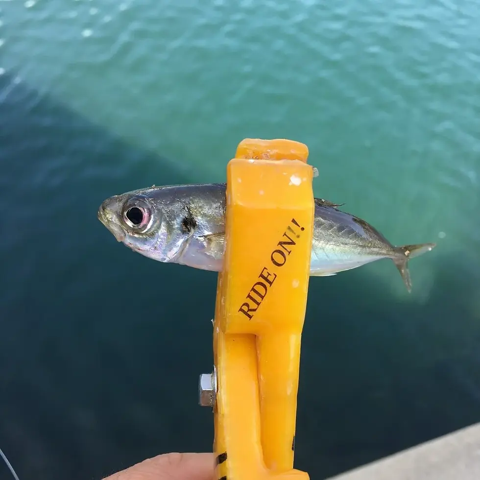 アジングと3dプリンタ製のグリップ